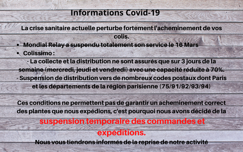 Informations Covid-19